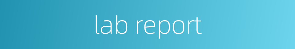 lab report的同义词