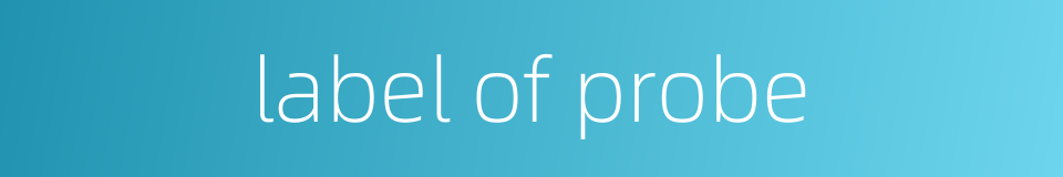 label of probe的同义词