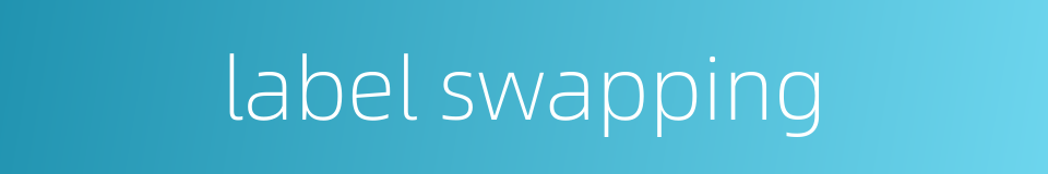 label swapping的同义词