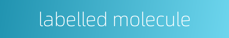 labelled molecule的同义词