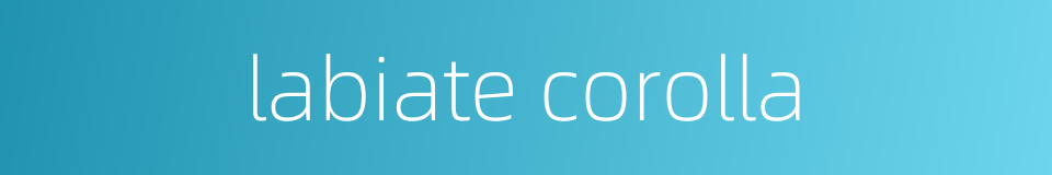 labiate corolla的同义词