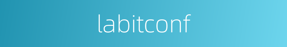 labitconf的同义词