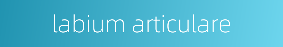 labium articulare的同义词