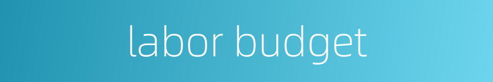 labor budget的同义词