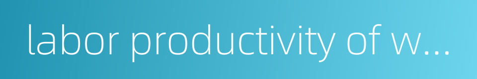 labor productivity of workers的同义词