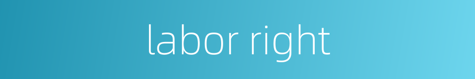labor right的同义词