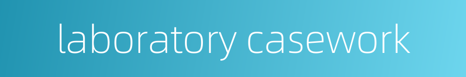 laboratory casework的同义词