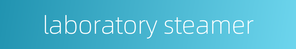 laboratory steamer的同义词