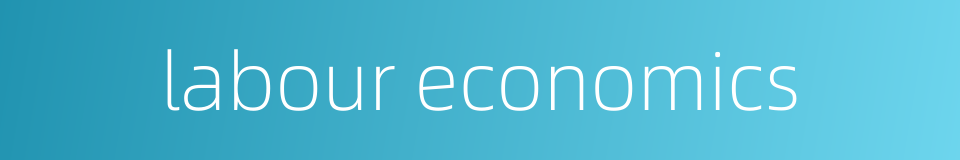 labour economics的同义词