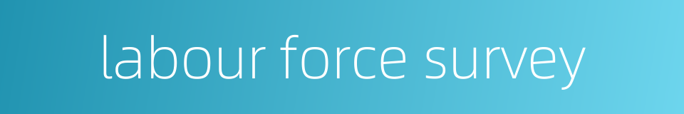 labour force survey的同义词