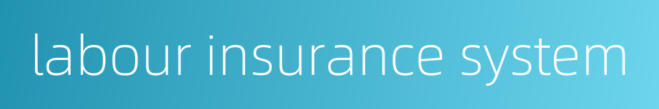 labour insurance system的同义词