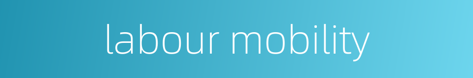 labour mobility的同义词