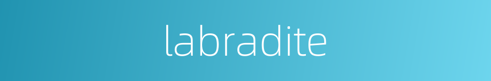 labradite的同义词