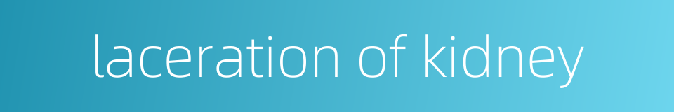 laceration of kidney的同义词