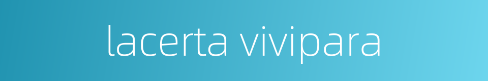 lacerta vivipara的同义词