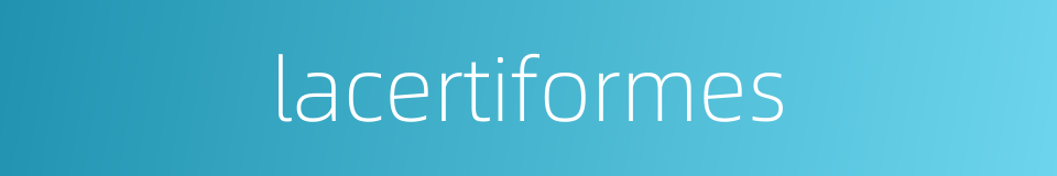 lacertiformes的同义词