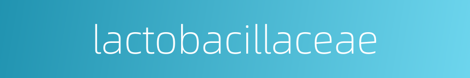 lactobacillaceae的同义词