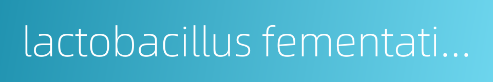 lactobacillus fementation的同义词