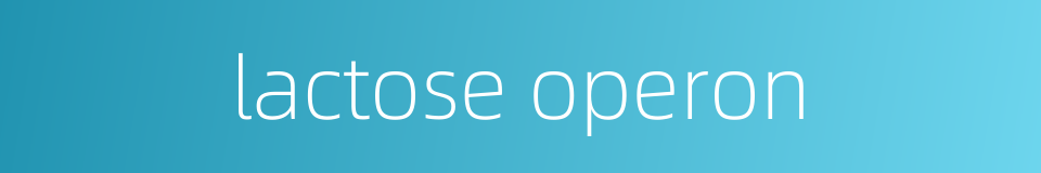 lactose operon的同义词