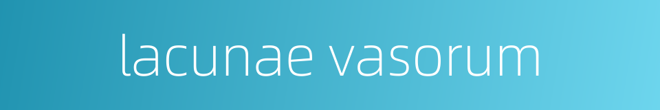 lacunae vasorum的同义词