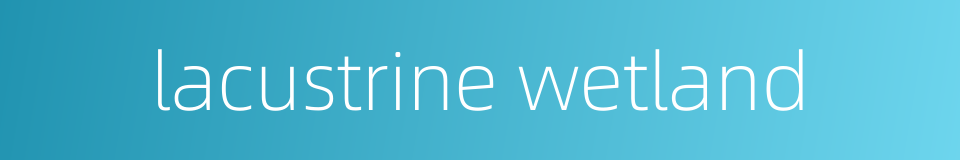 lacustrine wetland的同义词
