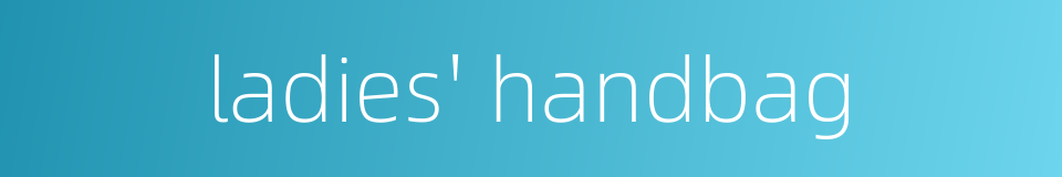 ladies' handbag的同义词