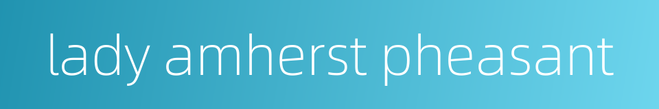 lady amherst pheasant的同义词