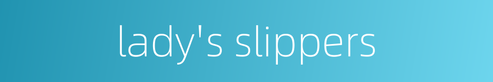 lady's slippers的同义词