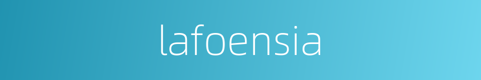 lafoensia的同义词