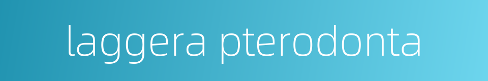 laggera pterodonta的同义词