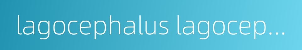 lagocephalus lagocephalus的同义词