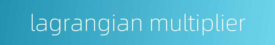 lagrangian multiplier的同义词