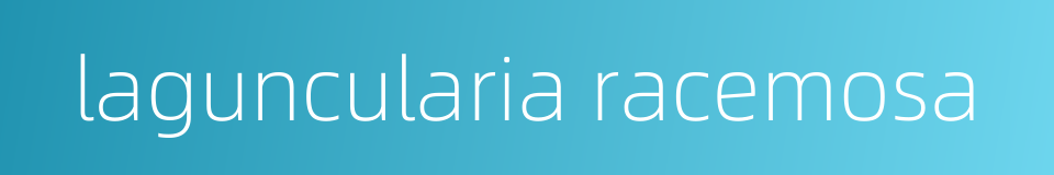 laguncularia racemosa的同义词