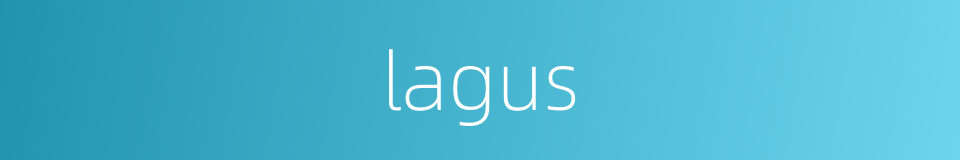 lagus的同义词