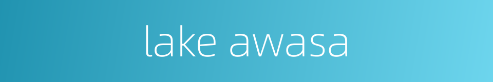 lake awasa的同义词