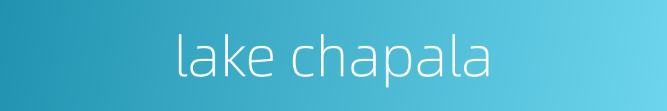 lake chapala的同义词