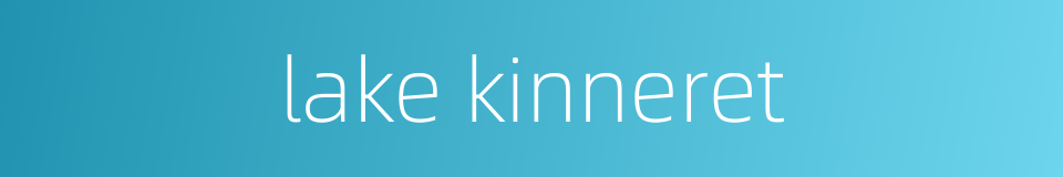 lake kinneret的同义词