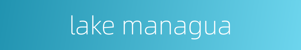 lake managua的同义词