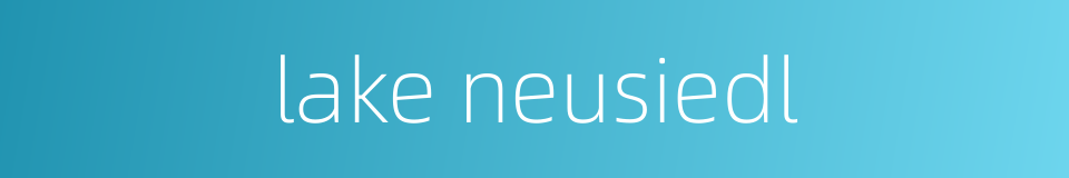lake neusiedl的同义词