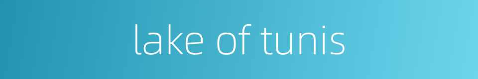 lake of tunis的同义词