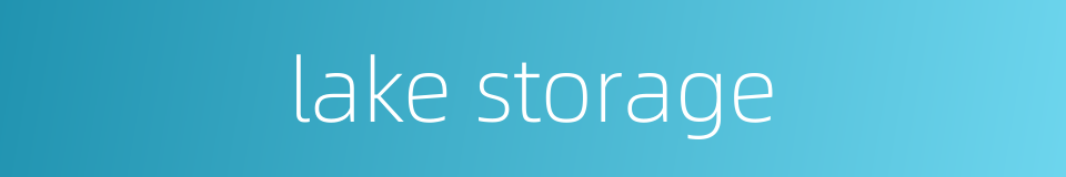 lake storage的同义词