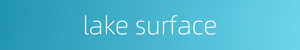 lake surface的同义词