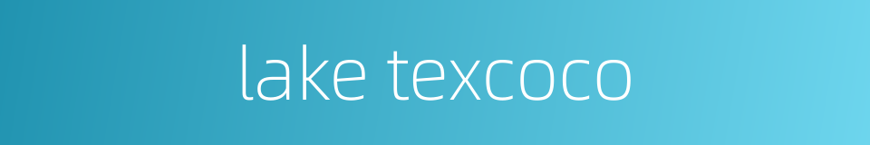 lake texcoco的同义词