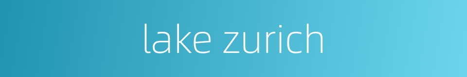 lake zurich的同义词
