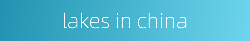 lakes in china的同义词