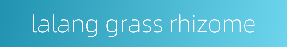 lalang grass rhizome的同义词