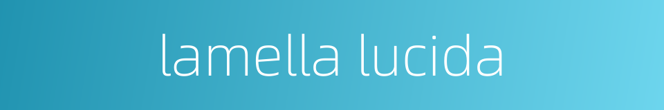 lamella lucida的同义词