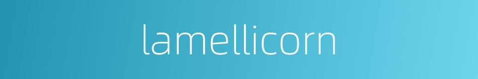 lamellicorn的同义词