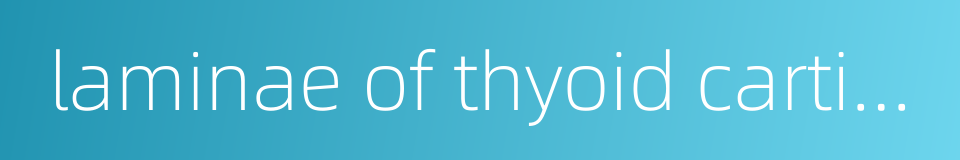 laminae of thyoid cartilage的同义词