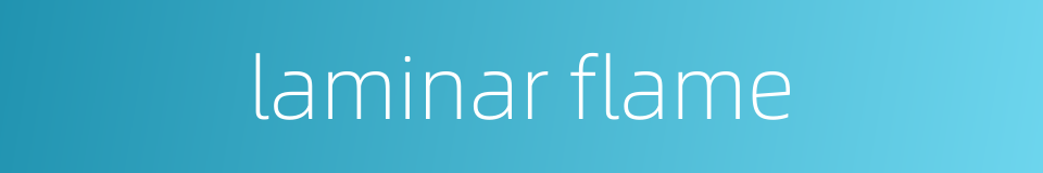 laminar flame的同义词